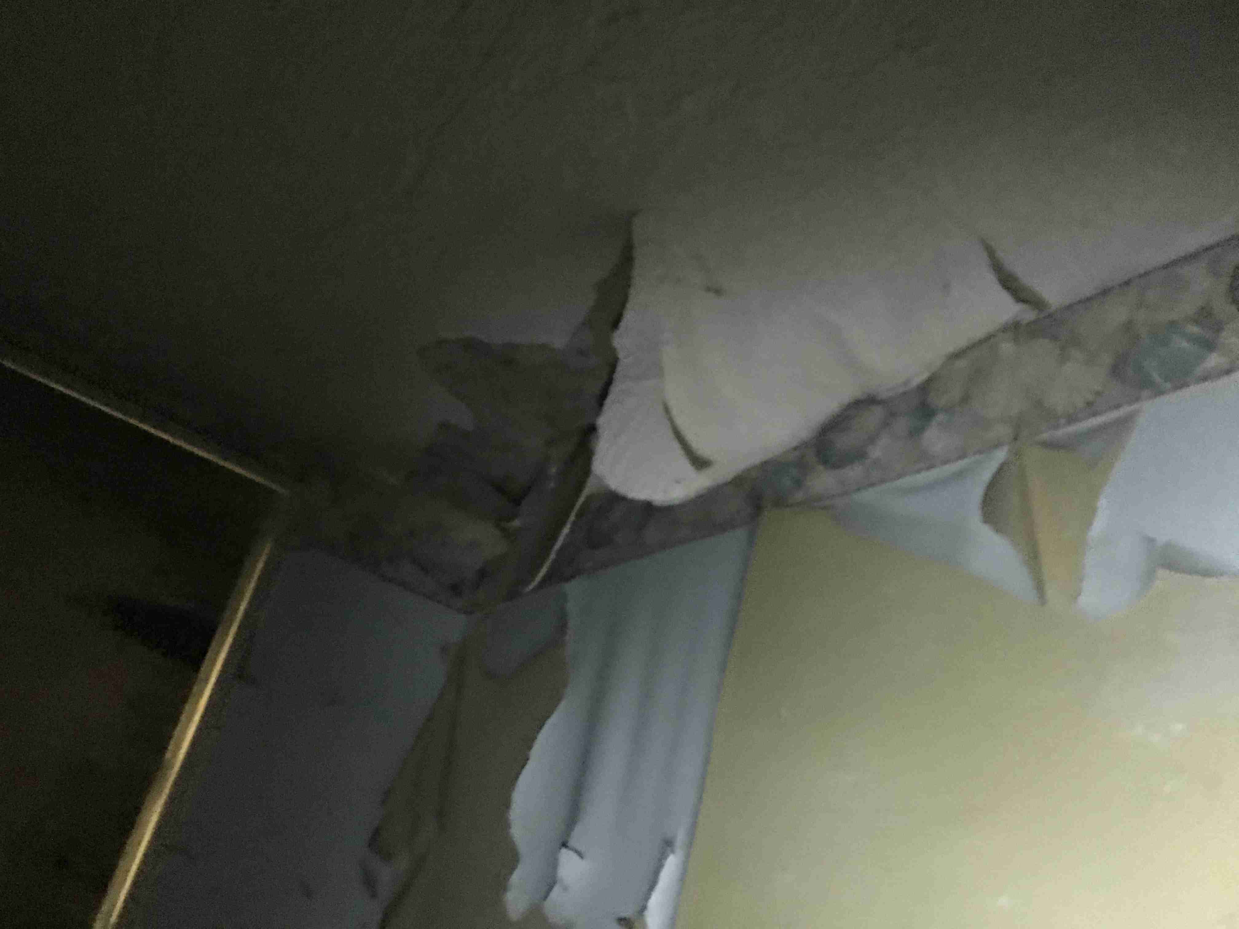 Photo Aug 20, 10 18 28 AM.jpg